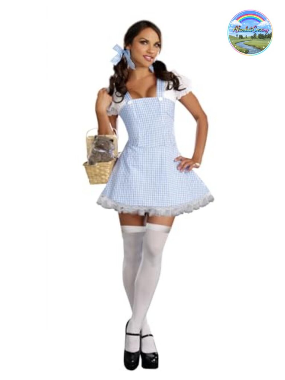 A-Line Sweetheart Neck Backless Costume Dress with Chiffon Sleeves